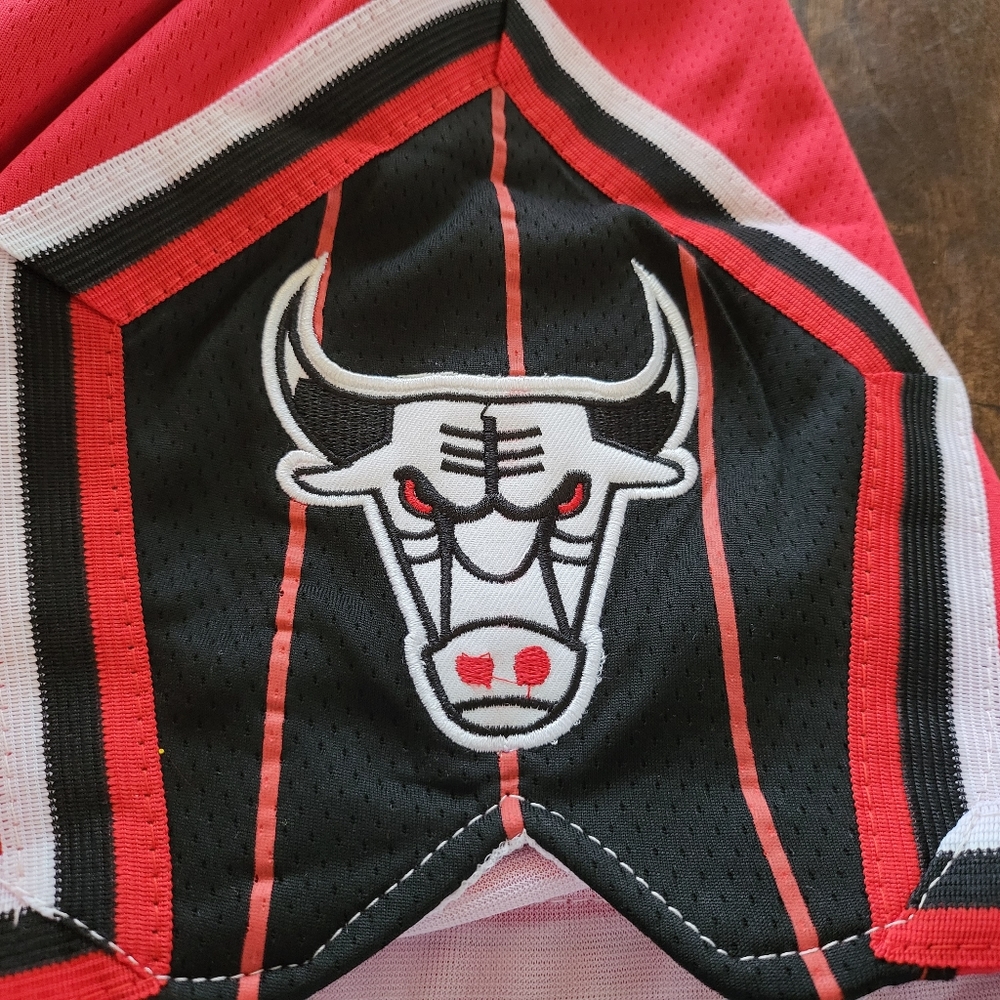 Chicago Bulls - Picture 4 of 5